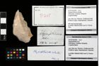 Foto (Objekt + Etikett) von Abyssophthalmus schultzi  (NHMW-GEO-2014-0194-0265)